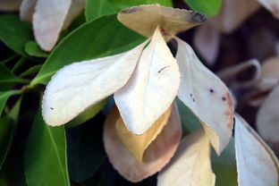 爱游戏中国官方登录入口网站-法甲防守阵型转换与对手控球比变化的动态关系研究，法国足球防守型中场